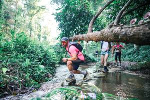 BIB: 
                            <button type="button" onclick="openModal(25433620)" class="btn btn-primary btn-sm float-right btn-popup" data-toggle="modal" data-target=".modal-high-quality">
                        <i class="fas fa-shopping-cart"></i> Add to Cart
                    </button>
                                            <button type="button" onclick="isThisMe(25433620, true)" class="btn btn-success btn-sm float-right btn-popup btn-isme hidden" data-toggle="tooltip" data-placement="bottom" title="นี่คือรูปของคุณใช่ไหม คลิกที่นี่เพื่อเอาเข้าอัลบั้ม">
                        <i class="fas fa-plus"></i> Add to album
                    </button>
                    <button type="button" onclick="isThisMe(25433620, false)" class="btn btn-warning btn-sm float-right btn-popup btn-isnotme hidden">
                        <i class="fas fa-ban"></i> Remove from album
                    </button>